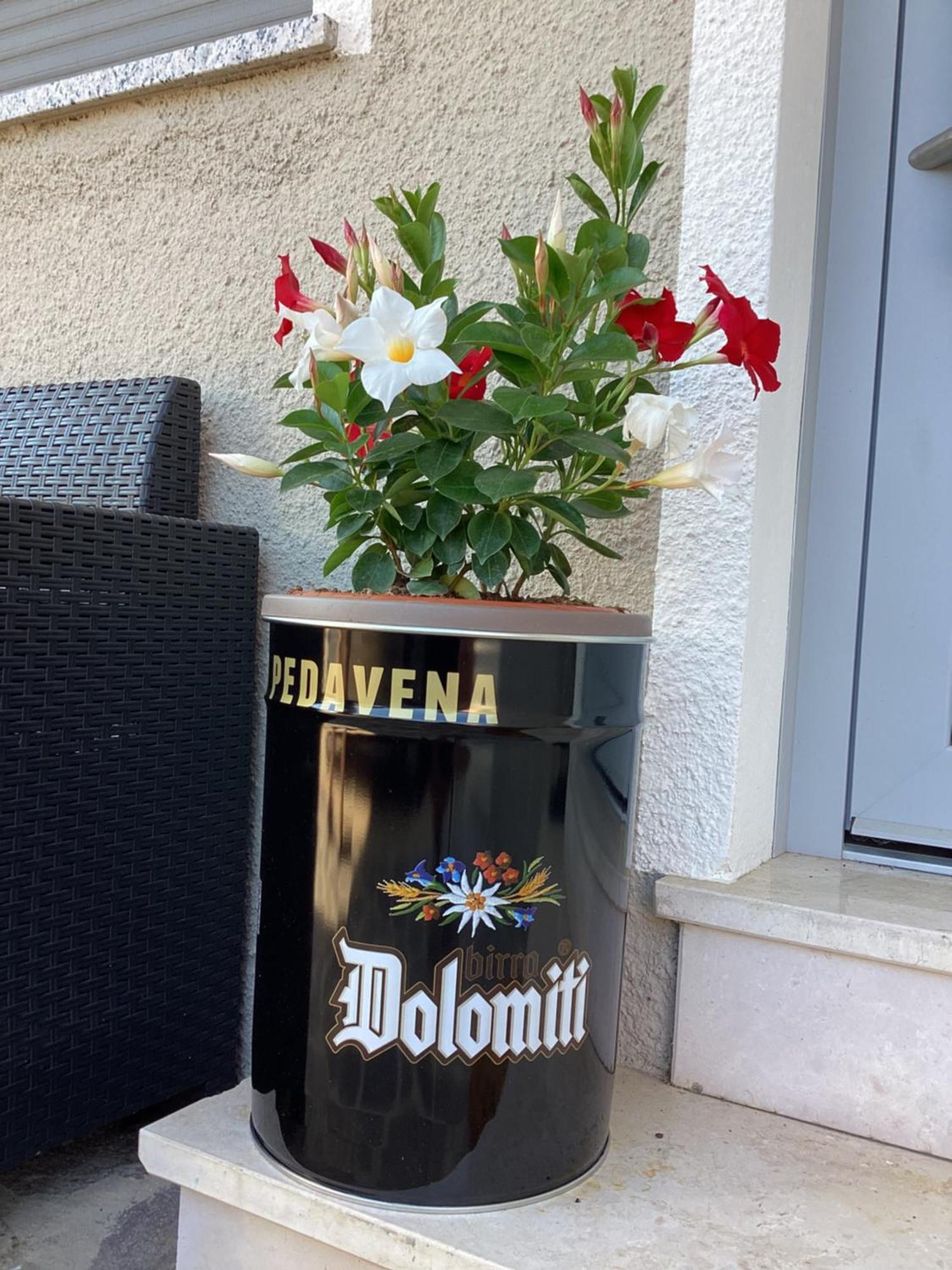 Apartament La Stella Delle Dolomiti Pedavena Zewnętrze zdjęcie